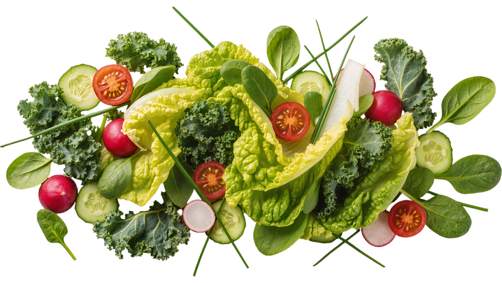 Fresh Salad from farmers market